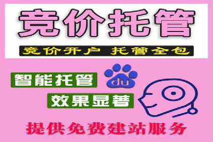 竞价推广案例：揭秘行业龙头企业的营销策略